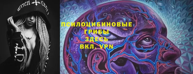 где можно купить   Игра  Галлюциногенные грибы Psilocybine cubensis 